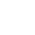 flower-babybauch